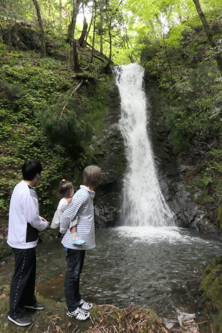 豪快な滝の流れ眺める行楽客