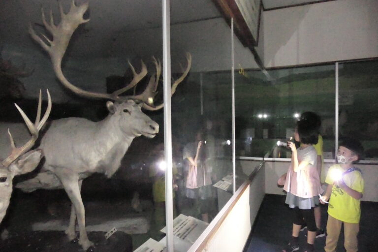 迫力ある動物のはく製を見る子どもたち=岡山県津山市で