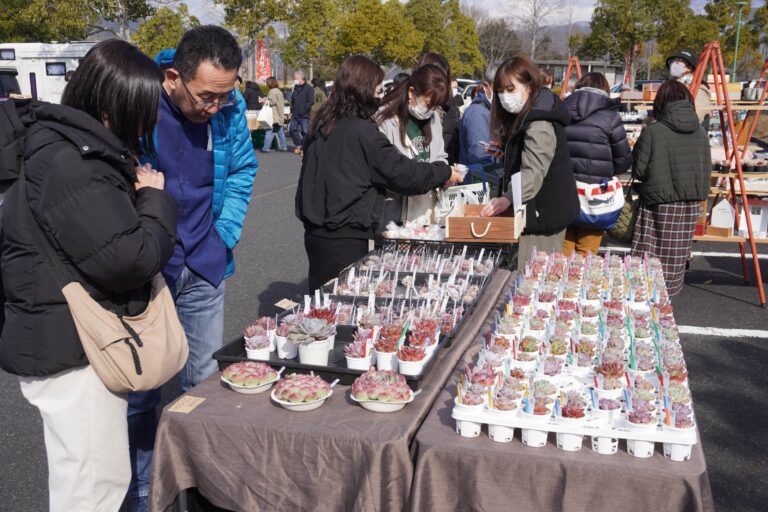 愛らしく豊富な種類の多肉植物を買い求める人たち=岡山県津山市で