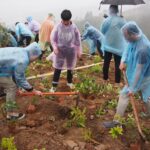 中国雲南省昆明市の山火事跡地に苗木を植樹する参加者（山田養蜂場提供）