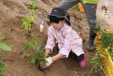 広葉樹１万本を植樹　山田養蜂場の24年続く取り組み　親子連れら「地球守る手伝いできた」／岡山・鏡野町