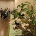 会場に並ぶ素朴で美しい山野草＝岡山県津山市で
