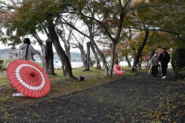 津山城もみじまつり開幕　紅葉をバックに多彩なイベント　26日まで開催／岡山・津山市　