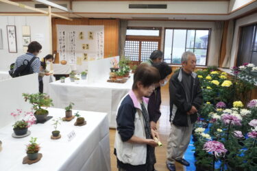 住民らの多彩な作品が並ぶ会場=岡山県津山市で