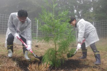 「全国植樹祭」アフターイベント　天皇陛下がお手植えされたスギなど　1700本植樹／岡山・津山市