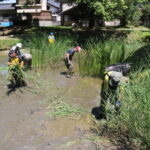 衆楽園の池を清掃する参加者＝岡山県津山市で