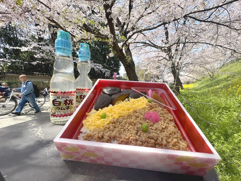 復活した津山名物のしいたけ弁当は数量限定、白桃ラムネとともに津山観光センターで。