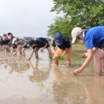 マリ共和国を支援しようと田植えに励む児童たち=岡山県津山市で