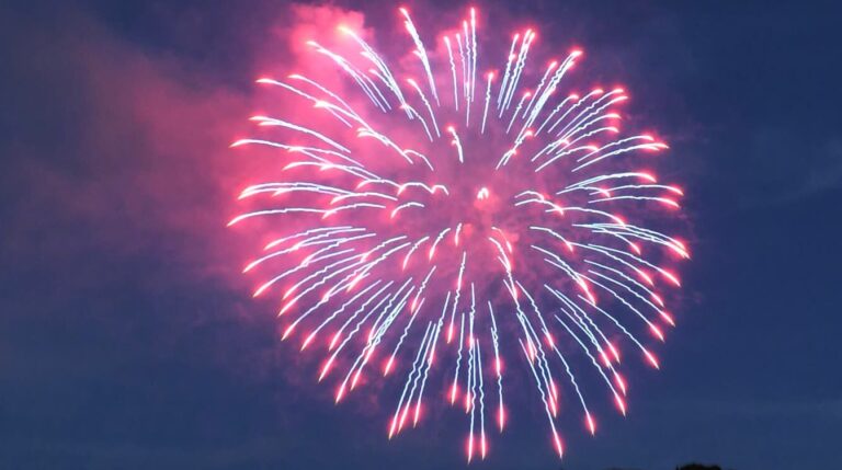 夜空と川面を彩る大輪の花火