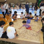 多彩な遊びを満喫する子どもたち=岡山県真庭市で