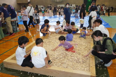多彩な遊びを満喫する子どもたち=岡山県真庭市で