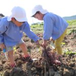 力を合わせてつるを引っ張る園児たち=岡山県鏡野町で