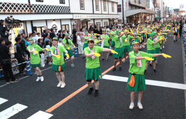 河童姿で軽快な踊りを披露する参加者たち＝岡山県津山市で