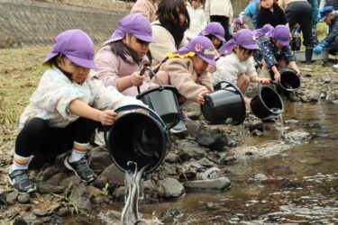 ウナギの幼魚を放流する園児=岡山県津山市で