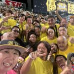 熱気の中ファンと勝利を分かち合う吉元さん（左下）=兵庫県西宮市、阪神甲子園球場で