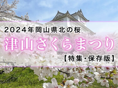 2024年岡山県北の桜・津山さくらまつり【特集・保存版】