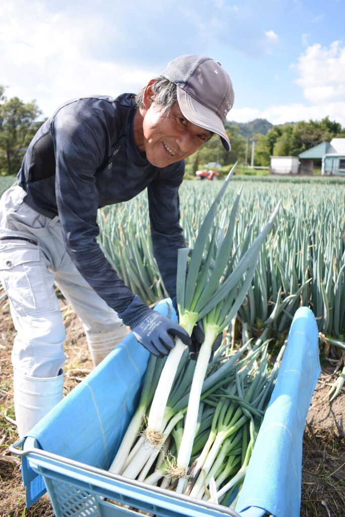 白ネギの収穫に励む就農２年目の小野田さん