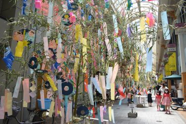津山市 ソシオ一番街 七夕飾り