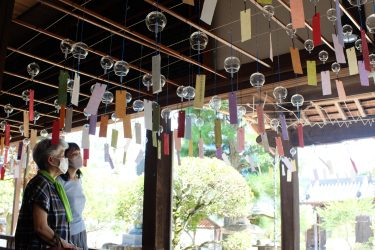 西寺町の愛染寺 約４００個のガラス風鈴