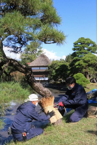 二十四節気の「霜降」