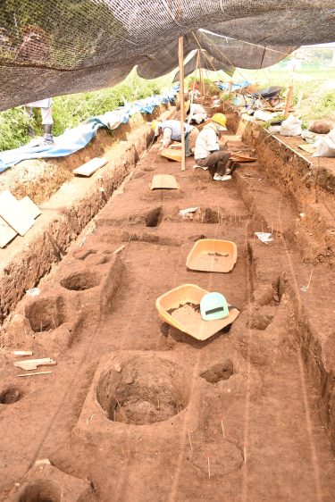県古代吉備文化財センター 国道429号改築工事 尾崎遺跡の発掘調査