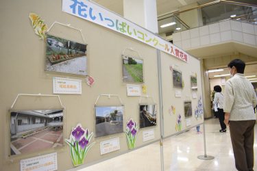 花いっぱい展示