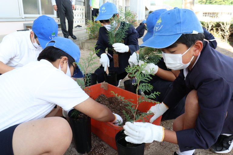 ヒノキの苗木を植えていく加茂小4年の児童たち