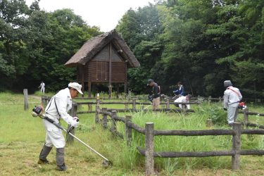 津山やよいライオンズクラブ　沼の県指定史跡・沼遺跡で早朝草刈り