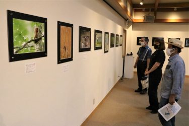 四季の野鳥 フォトサークル翼・写真展