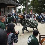 多くの人々が見守る中で奉納された高野神社の獅子舞