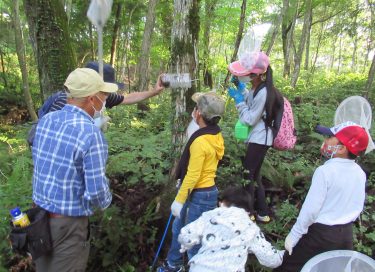 「里山の昆虫探検隊」児童が虫取り楽しむ