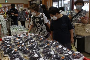 道の駅・久米の里で「ぶどうまつり」始まる