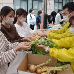 住民栽培の野菜　学生に提供