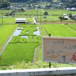 鮮やかに浮かび上がった矢沢永吉さんのシルエット