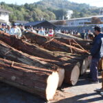 次々に値がついた市売り=岡山県津山市で