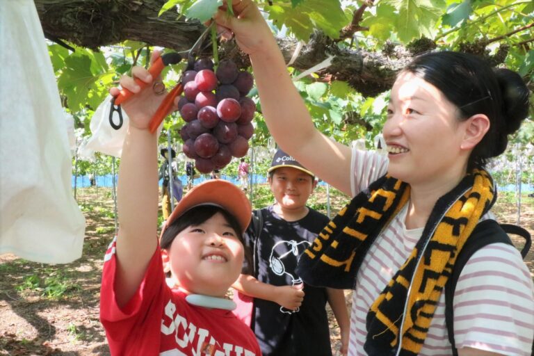 収獲体験を楽しむ親子連れ=岡山県津山市野村で