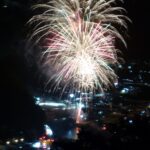 夜空に咲き乱れた華やかな大輪