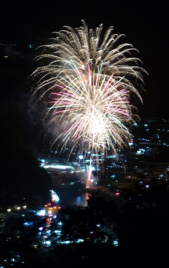 夜空に咲き乱れた華やかな大輪