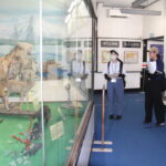 つやま自然のふしぎ館の展示を見学する新任教職員＝岡山県津山市で
