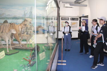 つやま自然のふしぎ館の展示を見学する新任教職員＝岡山県津山市で