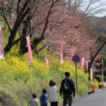 津山城周辺を歩く一家=2024年3月29日午後2時30分