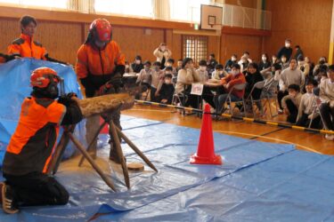 チェーンソーで丸太を切る実演を見る児童ら=岡山県津山市で