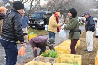 新鮮な野菜を買い求める来場者