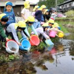 カワシンジュガイの幼生が寄生するアマゴを放流する園児たち=岡山県真庭市で