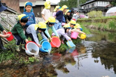 カワシンジュガイの幼生が寄生するアマゴを放流する園児たち=岡山県真庭市で