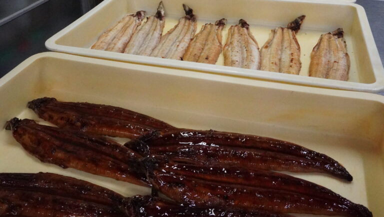 ピークを迎えているウナギのかば焼き作り=岡山県津山市、かめや鮮魚店で