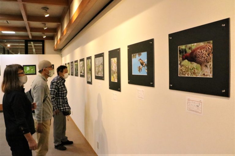 「野鳥フォトサークル翼」初の写真展「四季の野鳥」