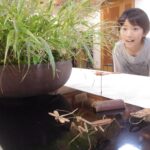 竹の昆虫と盆栽の演出に見入る来場者=岡山県津山市で