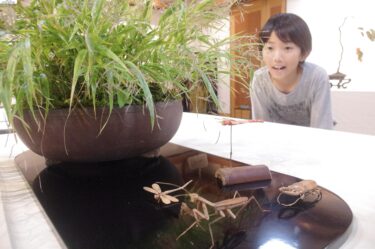 竹で作った昆虫と盆栽　第3回「竹彫刻と盆栽　二人展」　即売コーナーも／岡山・津山市