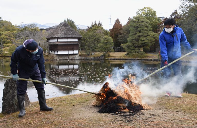 国名勝・衆楽園（山北）で、越冬した害虫を駆除する伝統の「松のこも焼き」が行われた